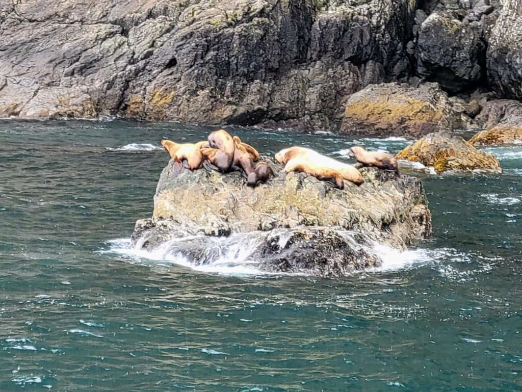 Kenai Fjords